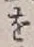 字を