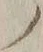 字ノ