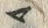 字マ