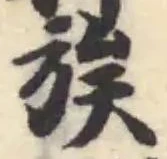 Đã định vị 簇