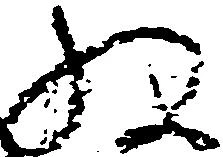 已定位ね