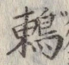 位置 確認된 鶫