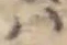Đã định vị 𛂞