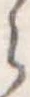 位置定マレル𛃰