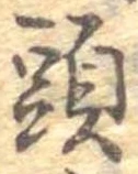 已定位頭