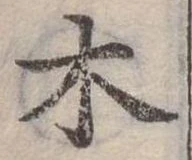 木 위치 확인됨