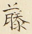 글자 藤