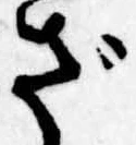 已定位ざ