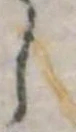 𛁅 위치 확인됨
