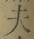 Character 夫
