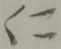 仁 위치 확인됨