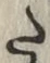Character た
