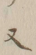 Chữ 又