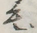毛 위치 확인됨