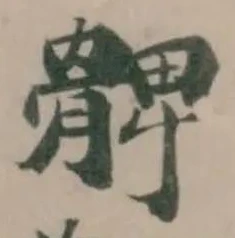 髀の位置