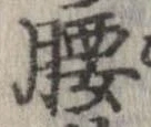 腰 위치 확인됨