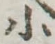 位置 確認된 小