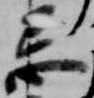 Đã định vị 忌