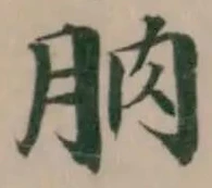朒 위치 확인됨