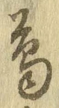 已定位鳥