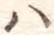 𛂞 위치 확인됨
