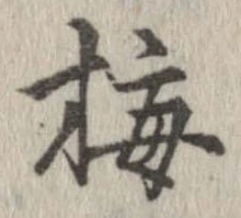 已定位梅