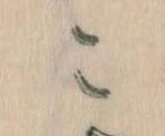 この位置