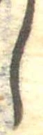 𛁅 위치 확인됨