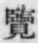 Character 覽