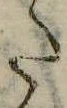 𛁠 위치 확인됨