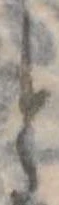 位置 確認된 と