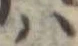𛂞の位置