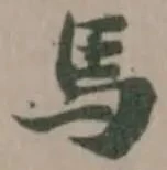 馬 위치 확인됨