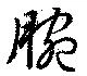 Đã định vị 腕