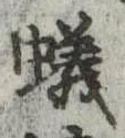 蟻 위치 확인됨
