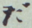 글자 だ