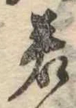 若 위치 확인됨