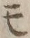 字モ