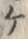 文字届