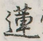 蓮 위치 확인됨