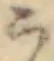 こ 위치 확인됨