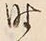 文字時