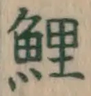 字鯉