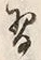 Chữ 習
