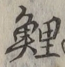 字鯉
