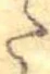 𛁠 위치 확인됨