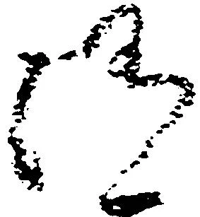已定位随