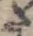 Đã định vị 𛁠