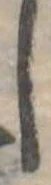 𛁅 위치 확인됨