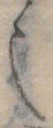 也 위치 확인됨